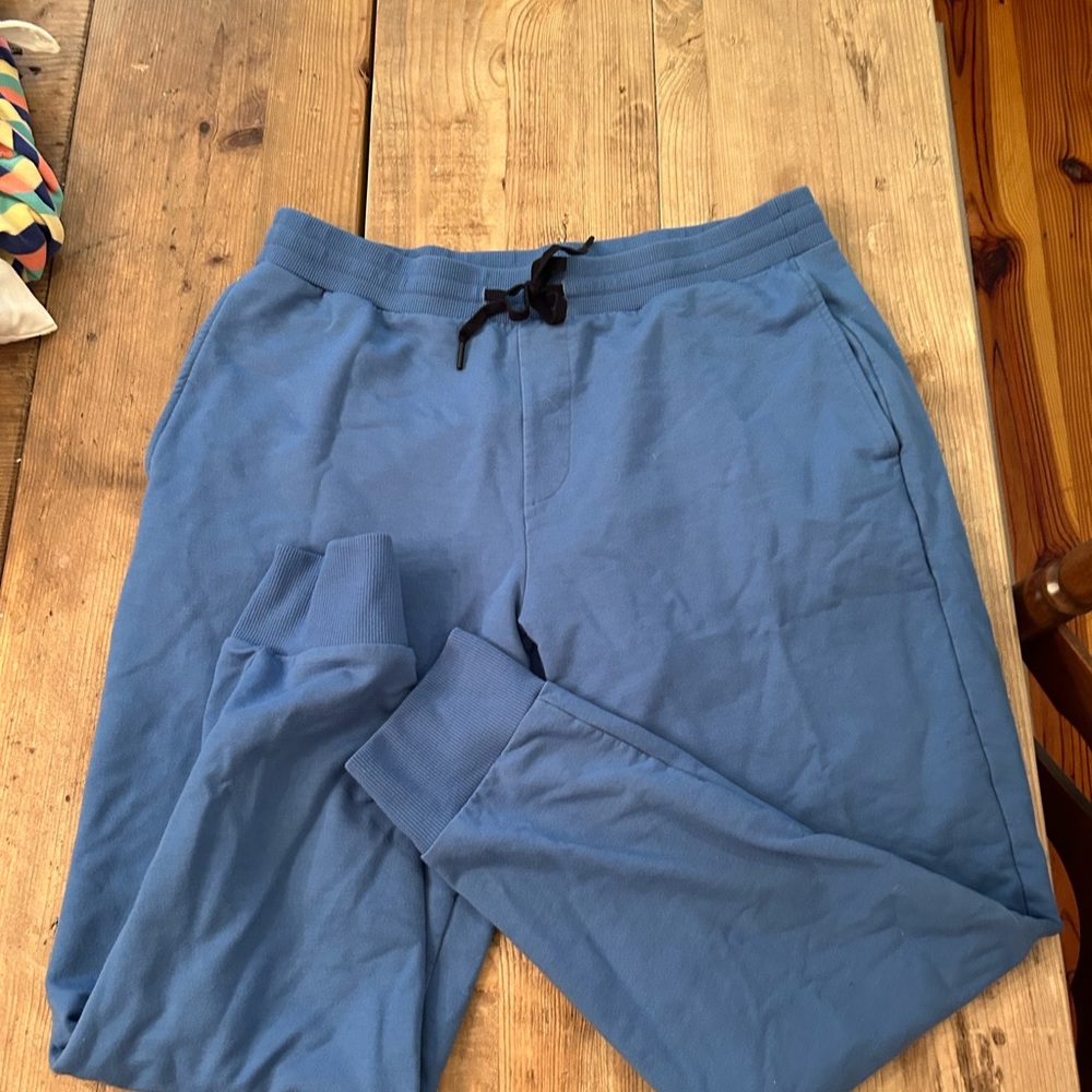 Theory large blue cozy sweatpants